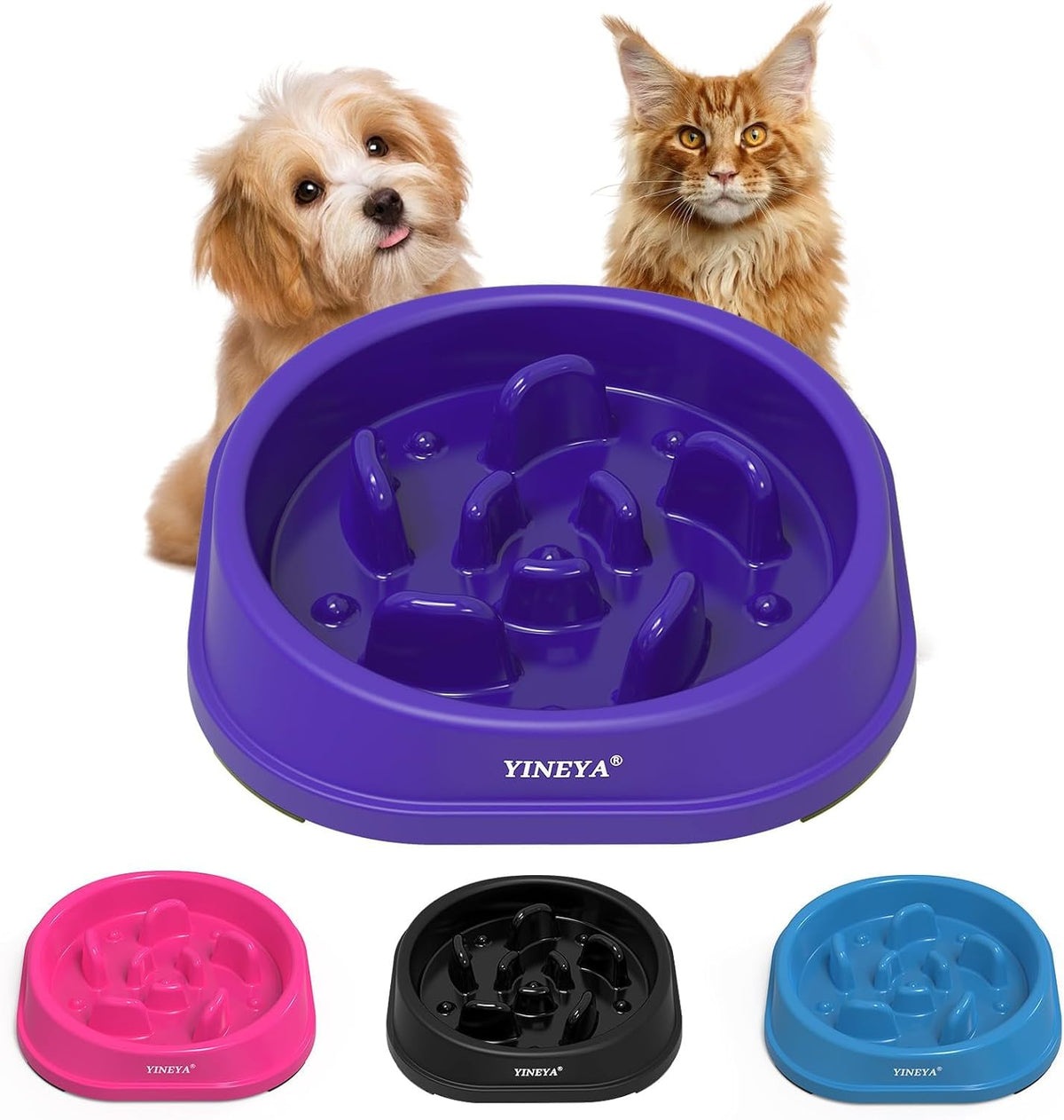 Slow feeder dog bowl with raised maze interior