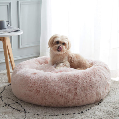 Calm Comfort Set with donut bed and slow feeder bowl